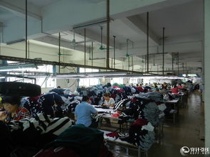 二十年深耕針織毛衣，200人實(shí)力工廠鑄就外貿(mào)品質(zhì)標(biāo)桿